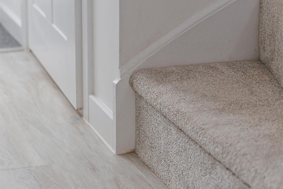 Carpet